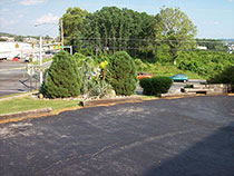 Driveway Before