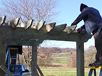 Pergola Photo