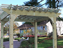 Pergola Photo