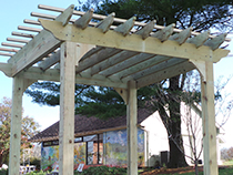 Pergola Photo