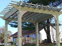 Pergola Photo