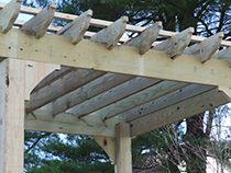 Pergola Photo